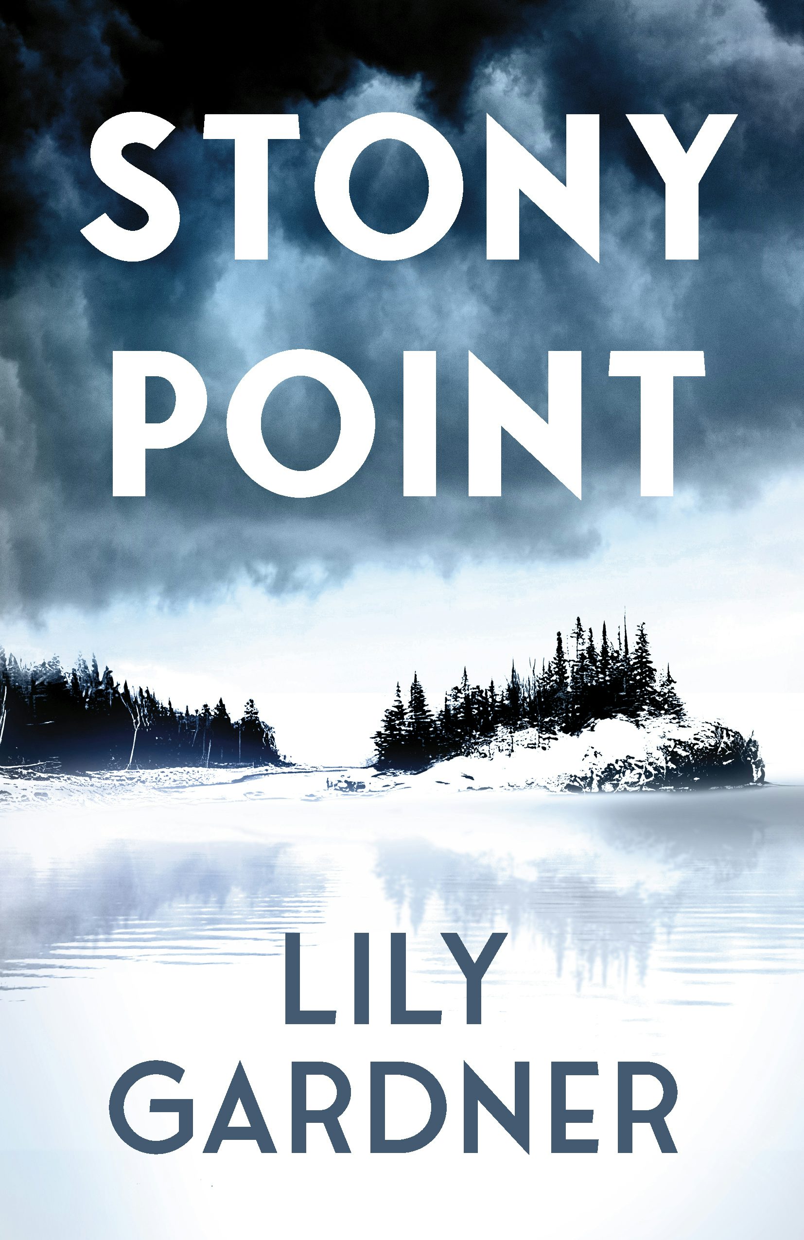 Cover image for StonyPoint, isbn: 9781963511604